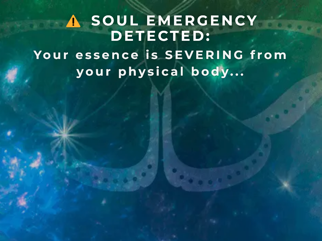 SOUL MANIFESTATION REVIEW – MY DAILY USE FOR 6 MONTHS