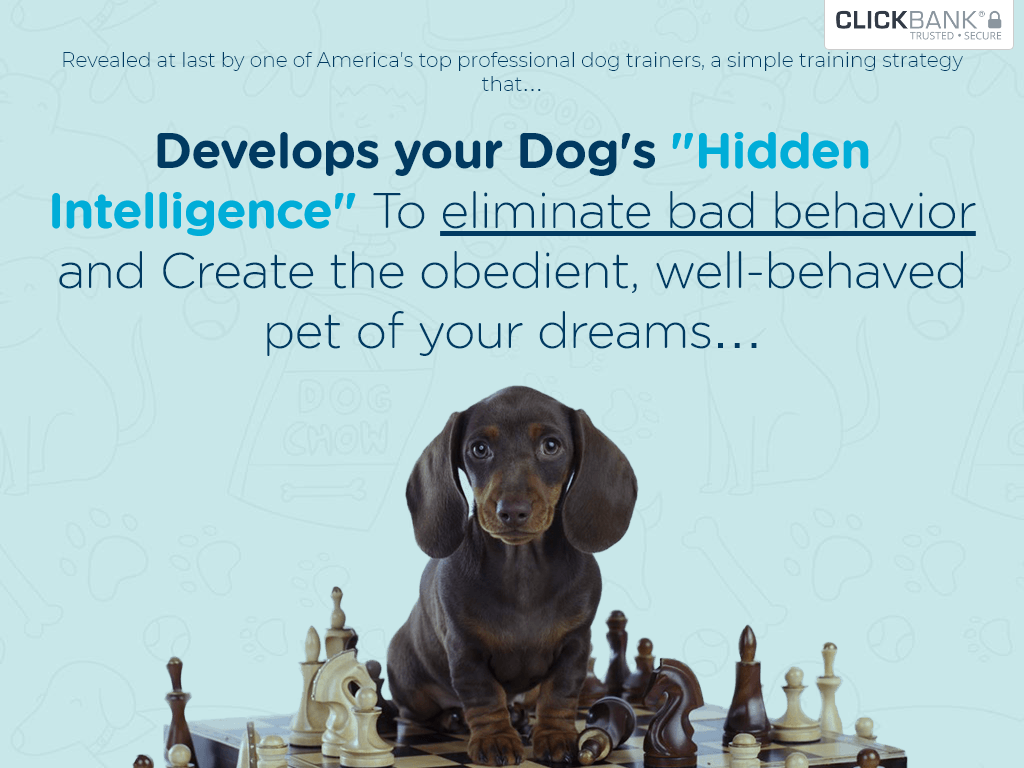 BRAIN TRAINING FOR DOGS REVIEW – RESULTS I ACTUALLY FELT DAILY