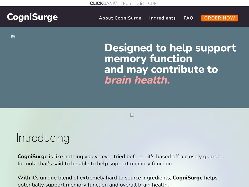 COGNISURGE REVIEW – MY 1 WEEK DEEP DIVE