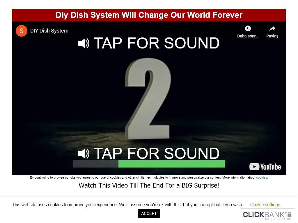 DIY DISH SYSTEM REVIEW | MY RESULTS IN CHARTS
