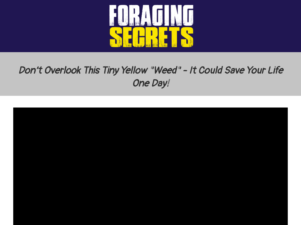 FORAGING SECRETS REVIEW : THE QUIET REVOLUTION IN MY LIFE