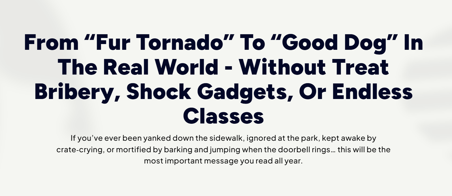 HOW TO RAISE A GOOD DOG GUIDE REVIEW : THE RESULT THAT SHOCKED MY BOSS