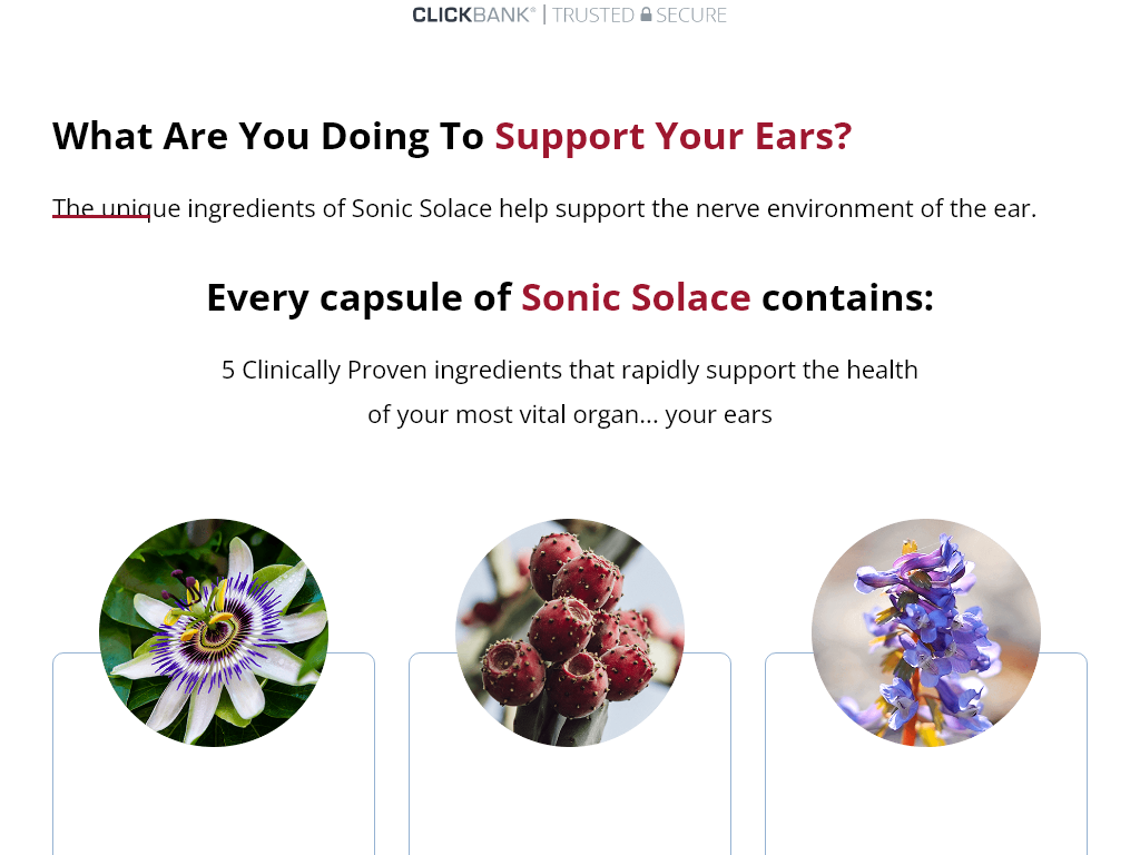 SONIC SOLACE REVIEW | MY UNFILTERED EXPERIENCE REVEALED