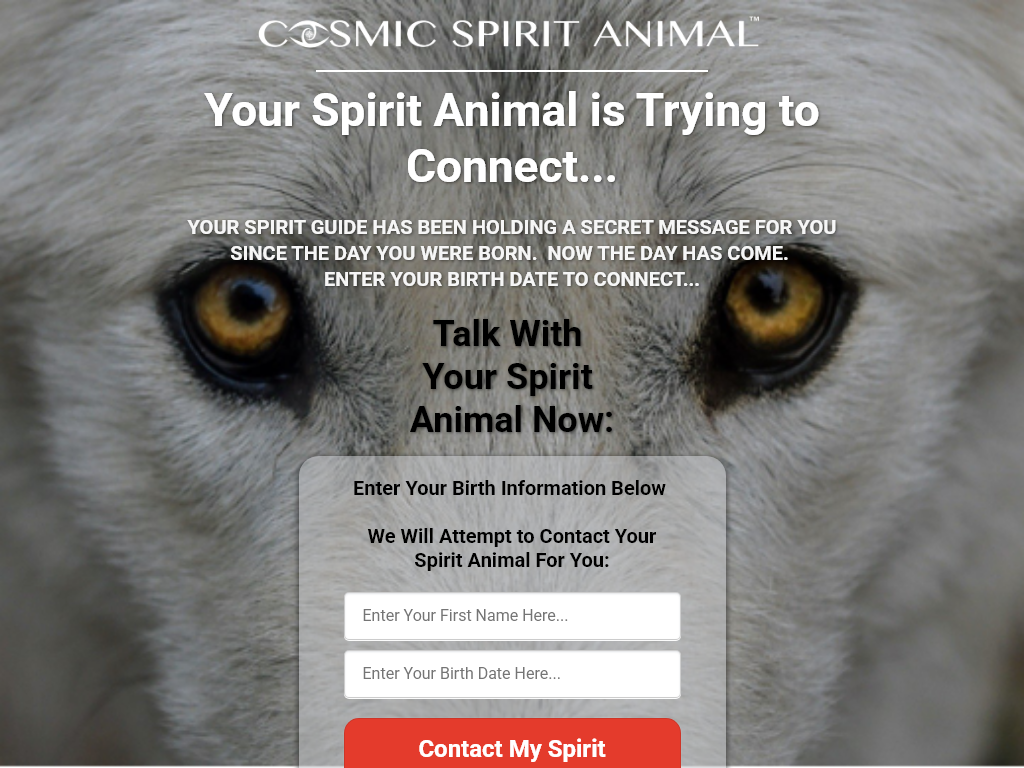 COSMIC SPIRIT ANIMAL REVIEW : THE ONE SIDE EFFECT NO ONE MENTIONS