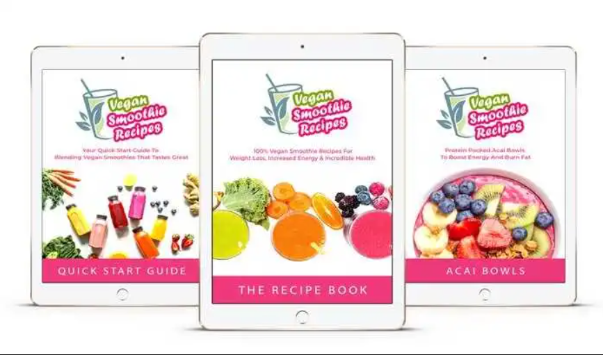 VEGAN SMOOTHIE & ACAI BOWL GUIDE REVIEW | I AM DONE AFTER 90 DAYS (HERE IS WHY)